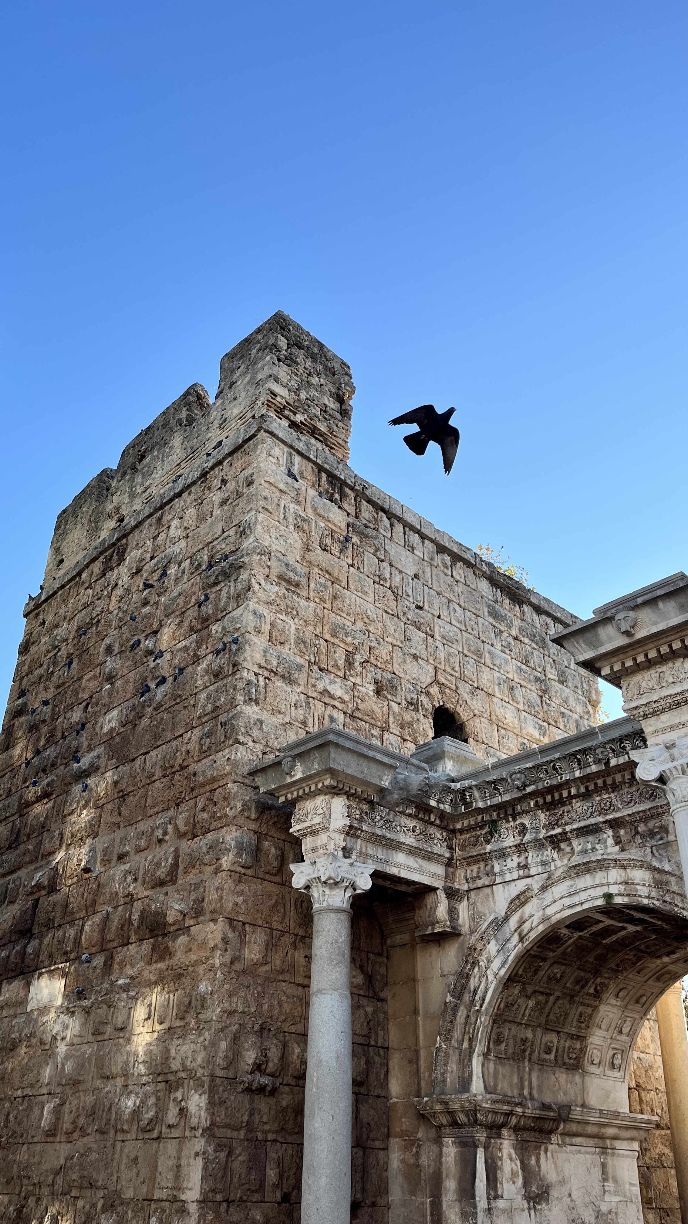 İçerik